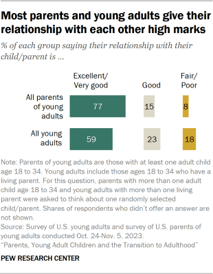 Parents, Young Adult Children and the Transition to Adulthood