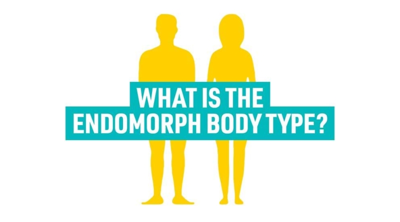 The Endomorph Body Type: Exercises & Workouts