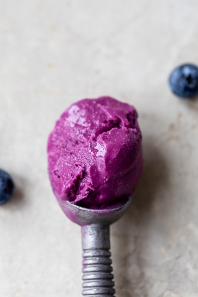 Blueberry Frozen Yogurt