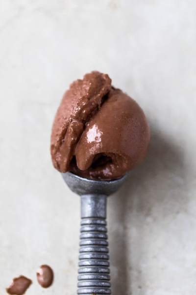 Chocolate Frozen Yogurt in the Ninja™ CREAMi®
