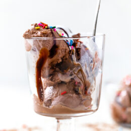 Chocolate Frozen Yogurt in the Ninja™ CREAMi®